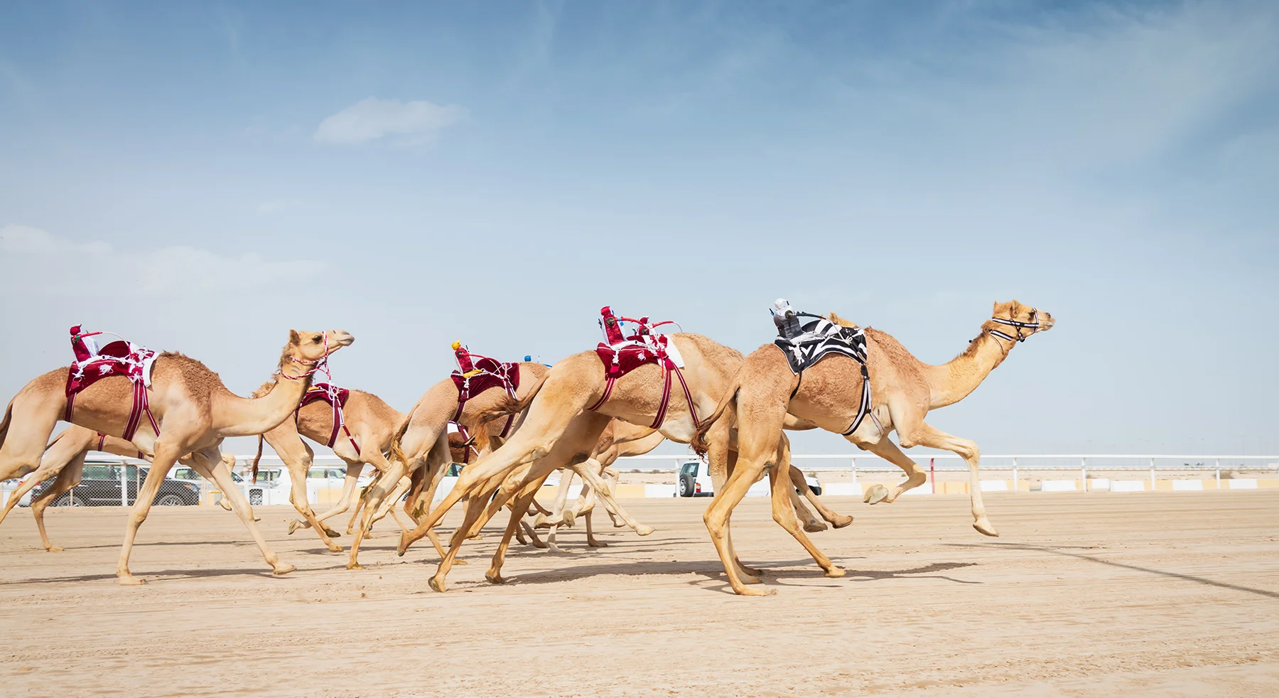 Events & Races